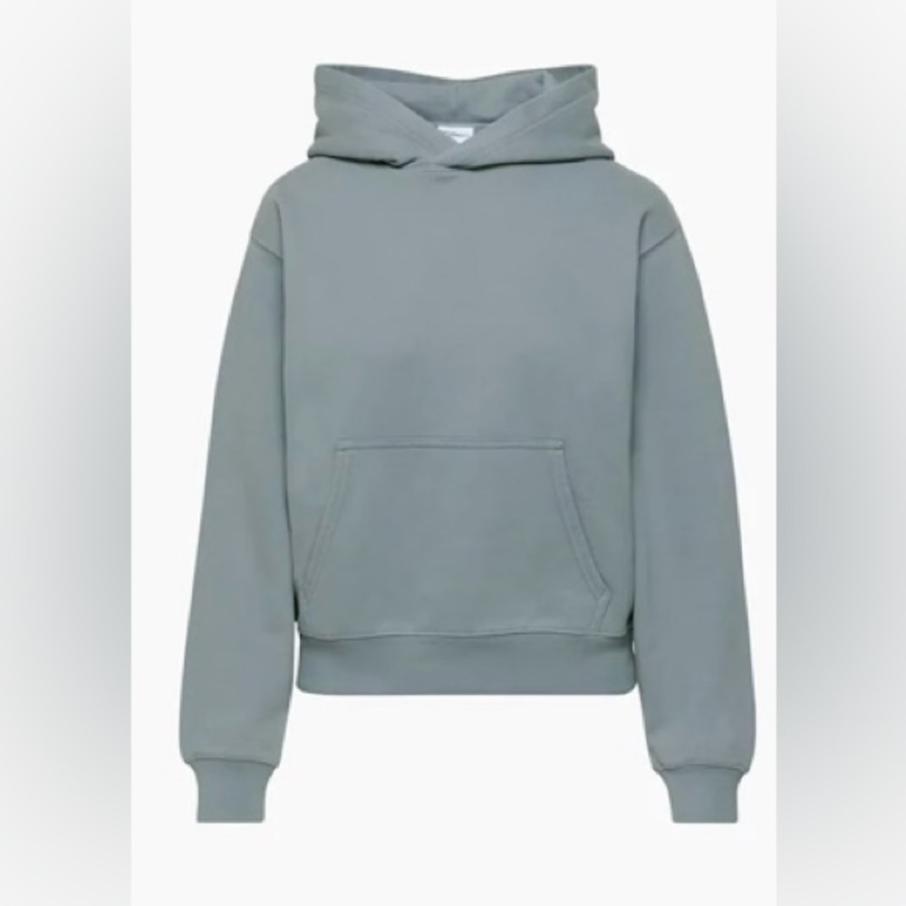 Aritzia Tna Terry Fleece Perfect Hoodie in Gd Shady